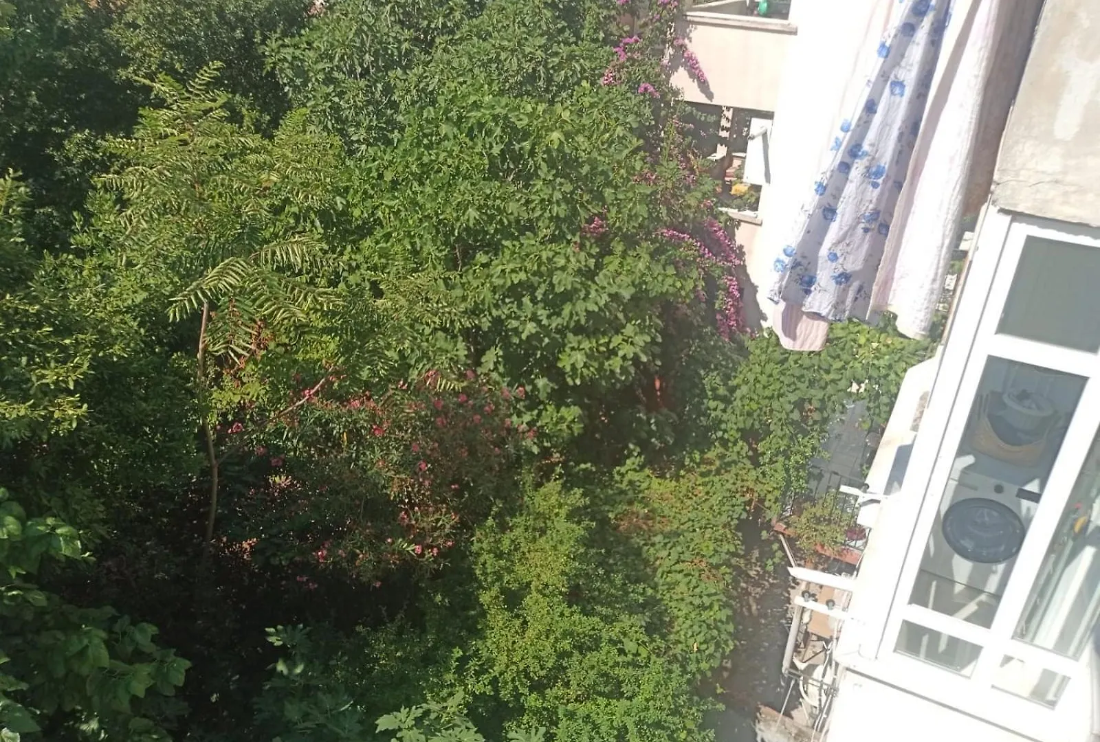 ***  Big Peace Suites & Hotel Istanbul Turkey